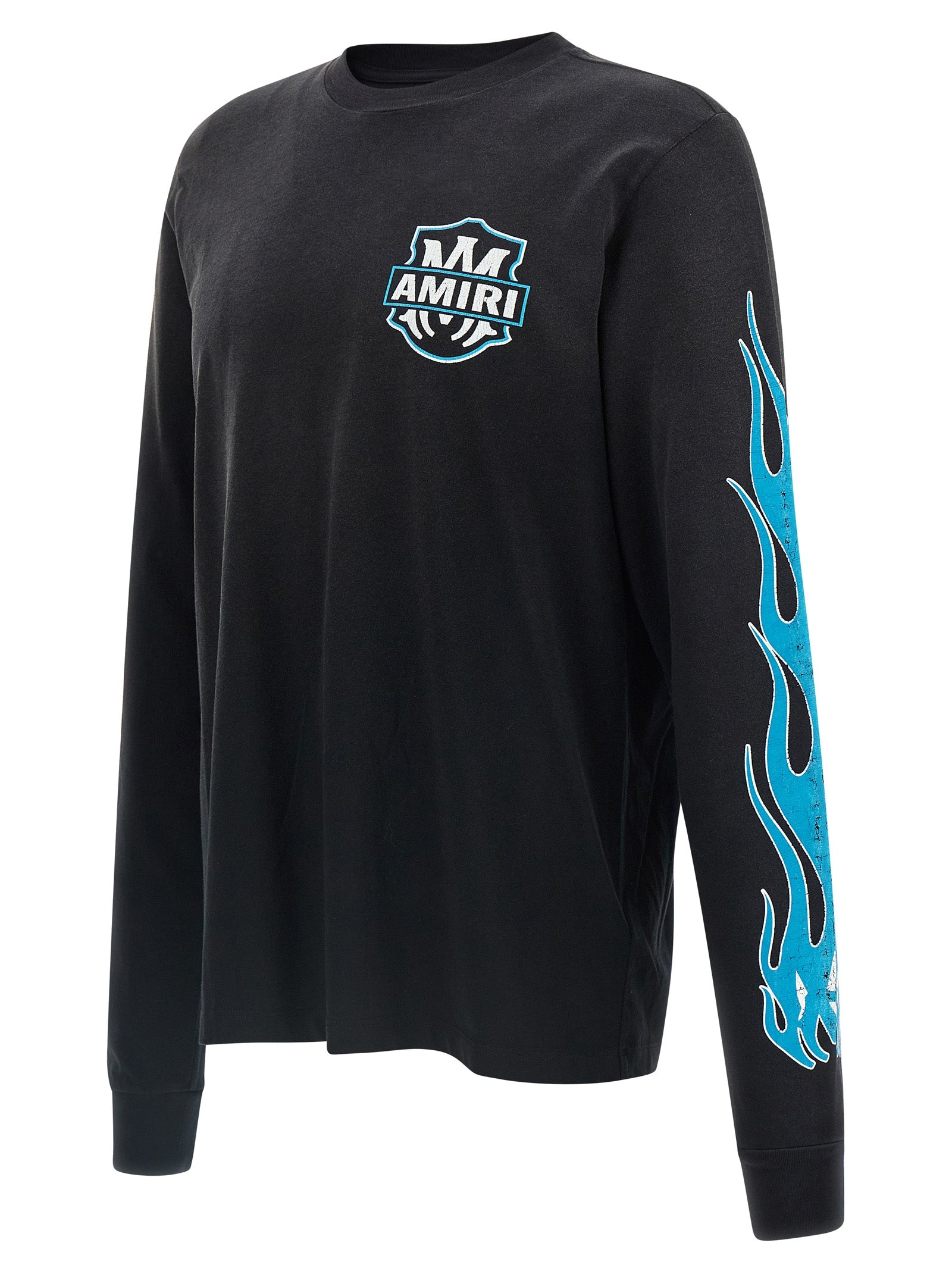 eagle flames t-shirt