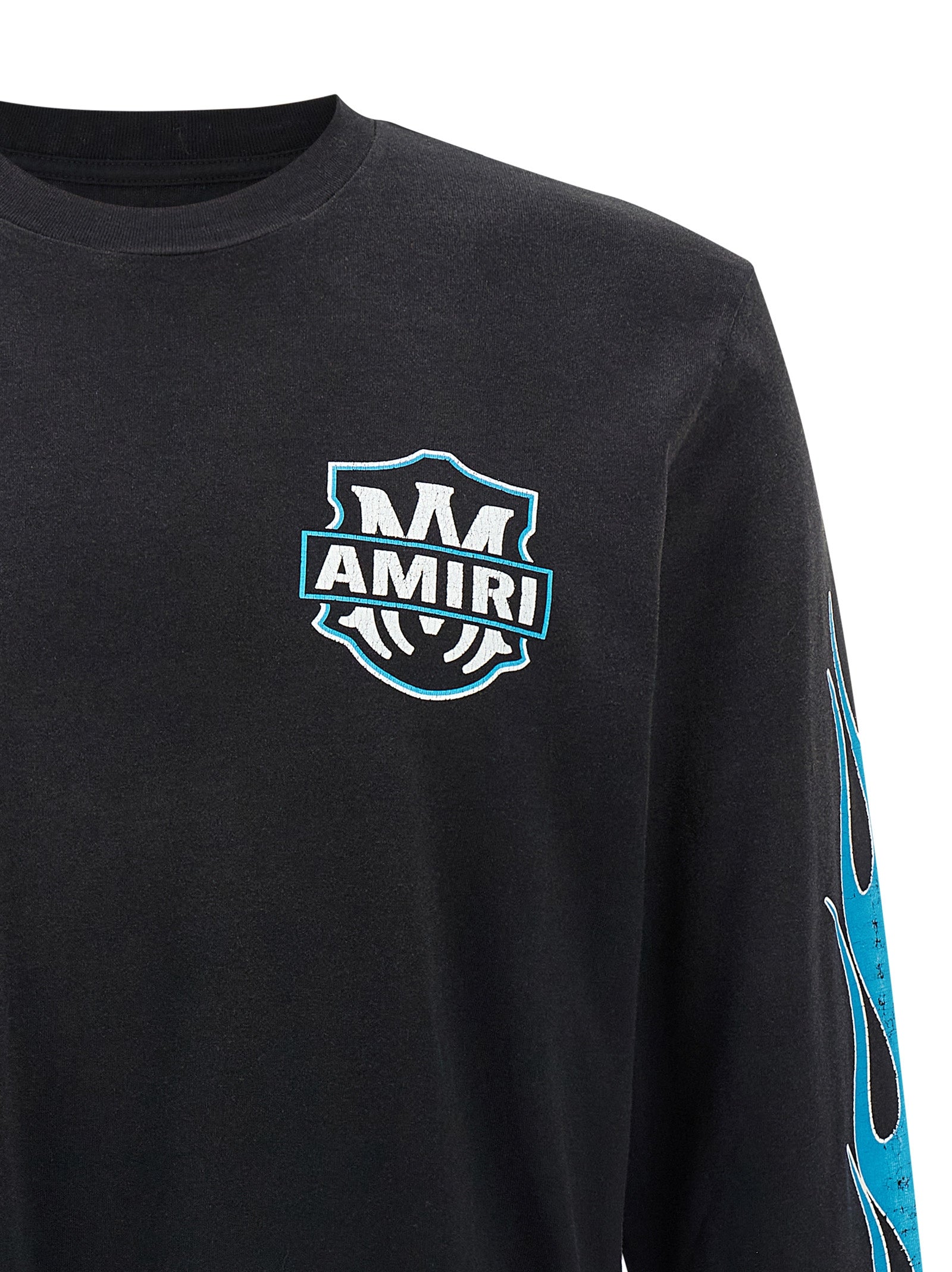 eagle flames t-shirt