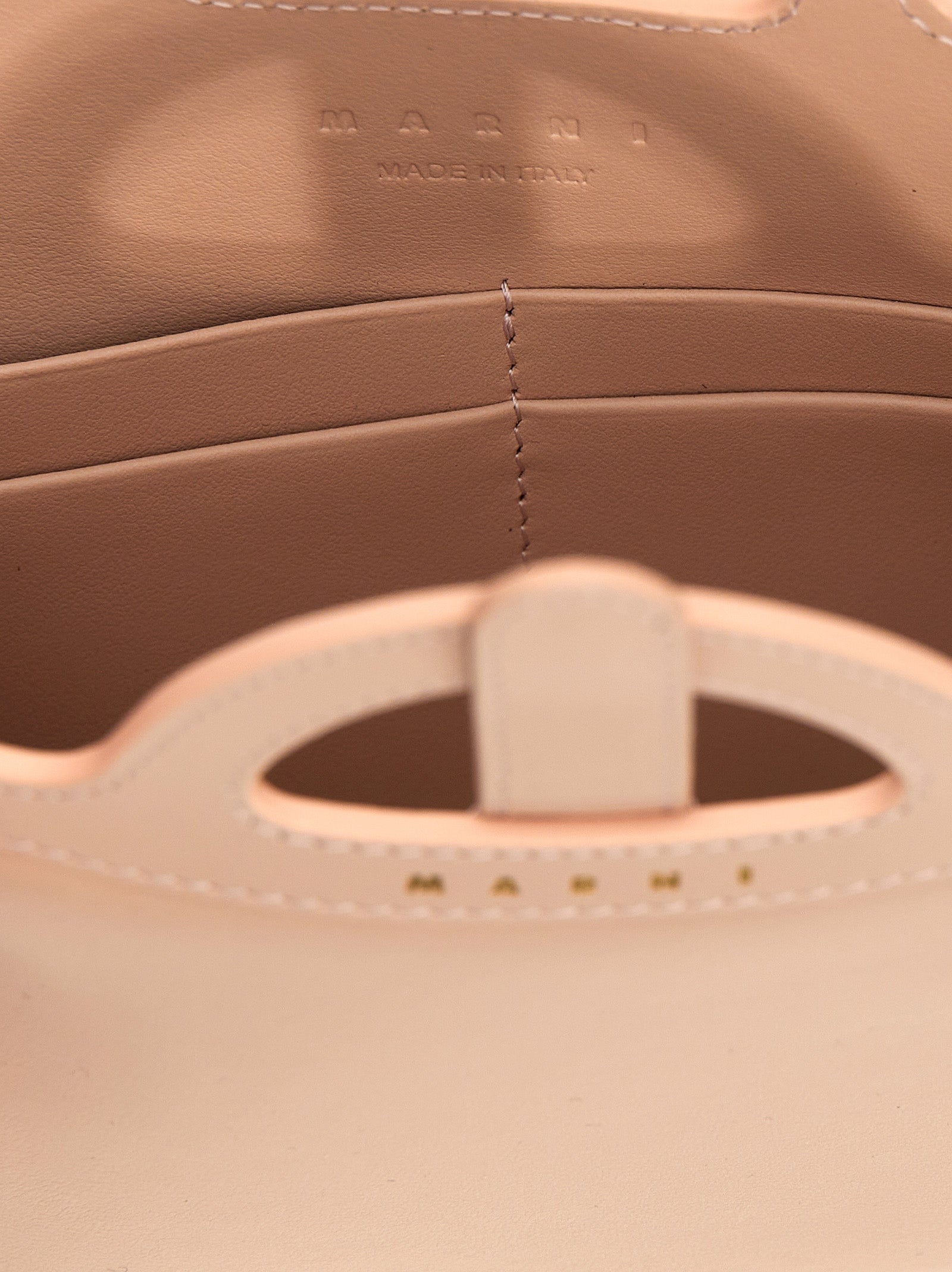 tropicalia wallet on chain